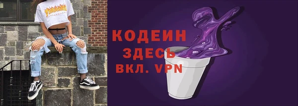 хмурый Бородино