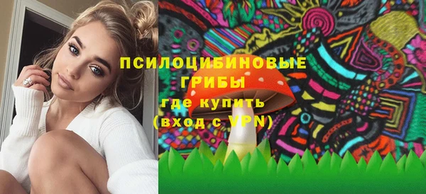 синтетический гашиш Богородицк