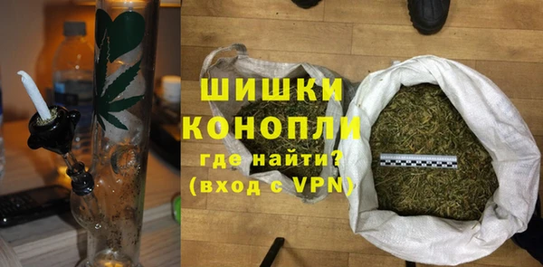 молекула духа Богородск