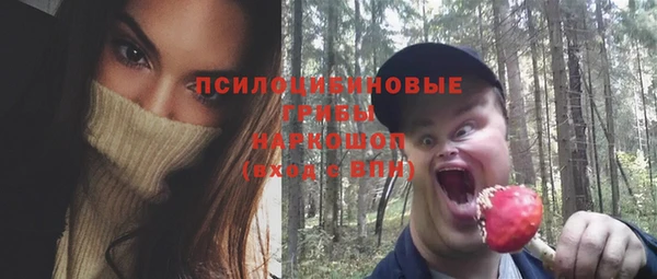 синтетический гашиш Богородицк